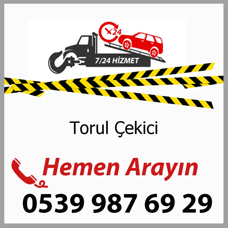 Torul ekici